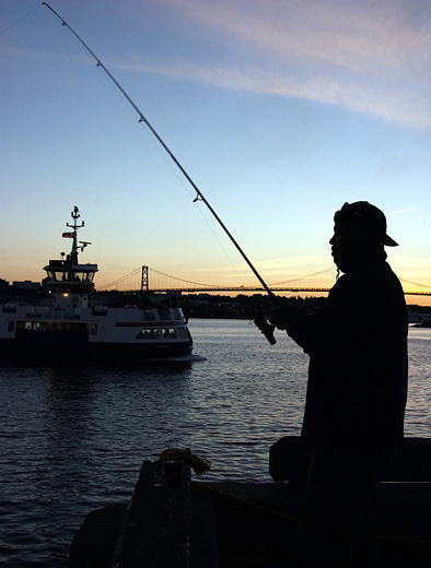 Harbour Fishing