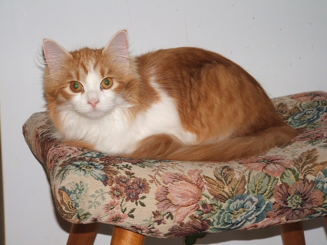 Miakoschka Sabina2.JPG