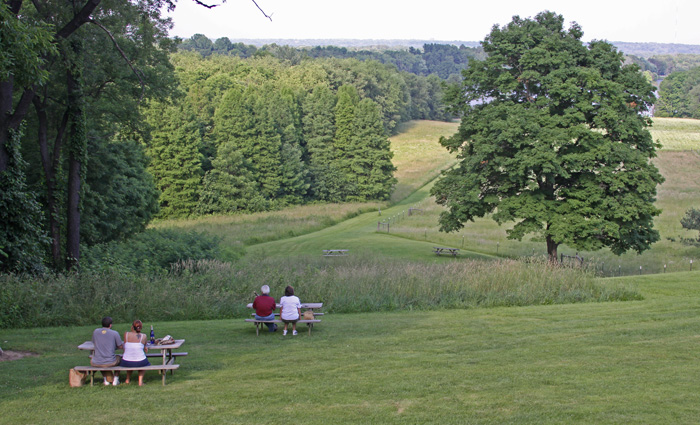WINERY AT WOLF CREEK: PICNIC WITH A VIEW