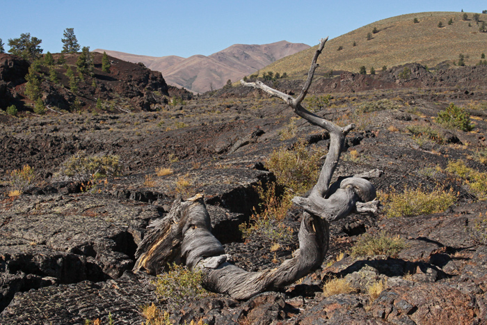 CRATERS OF THE MOON