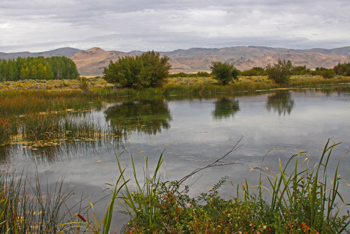 SILVER CREEK