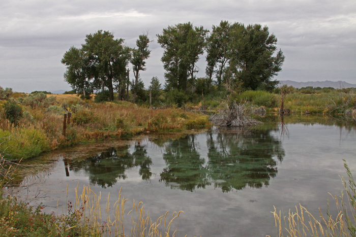 SILVER CREEK, ID