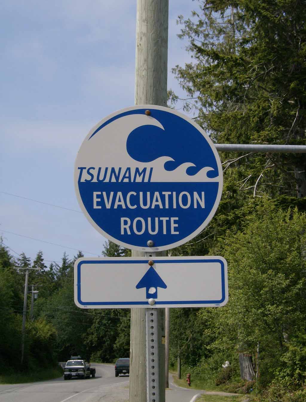 This Way Out !!