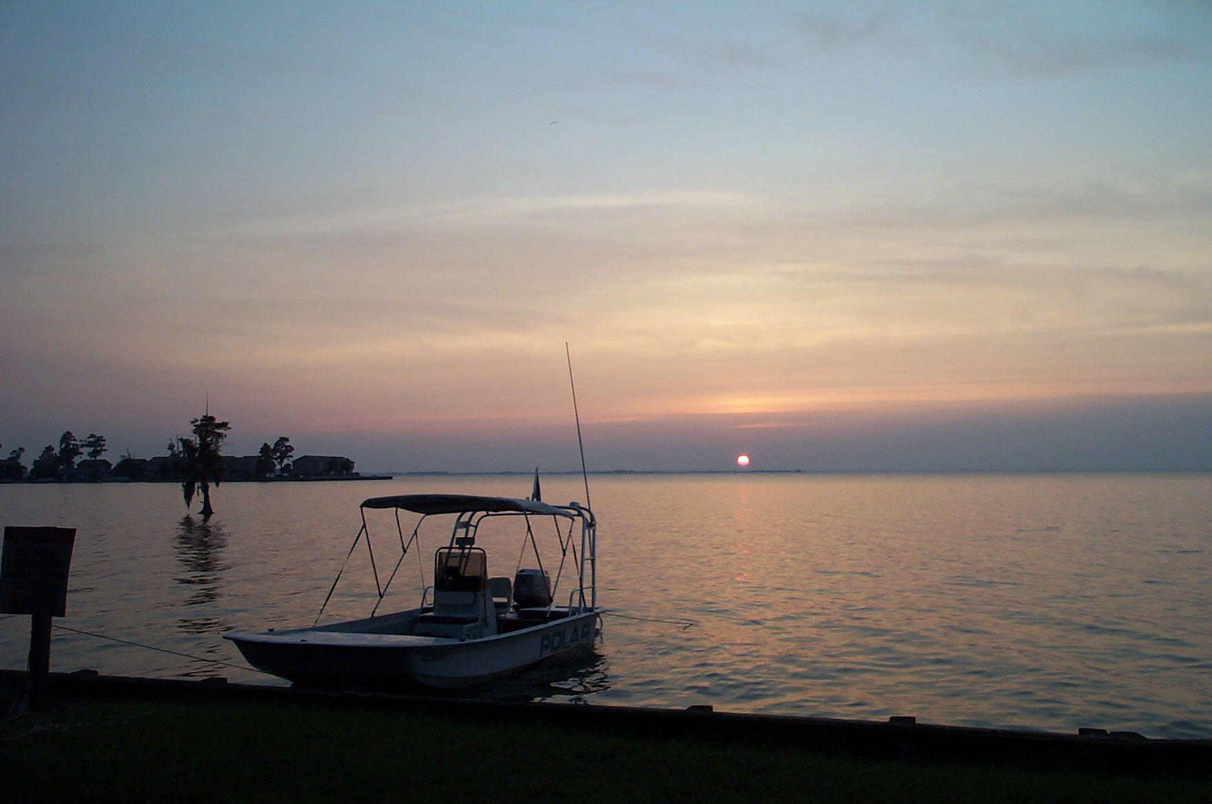 DCP_4471.JPG