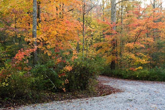 October 24 - near Gorges State Park