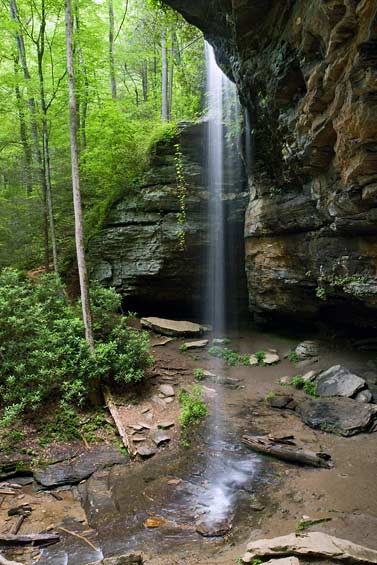 Moore Cove Falls 16