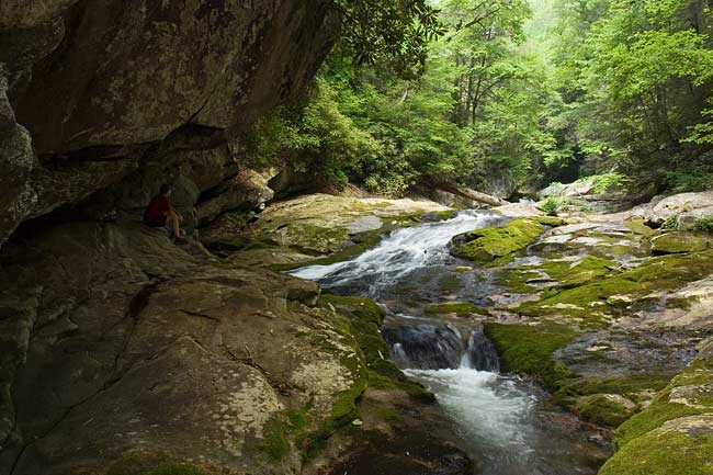 Steels Creek 3