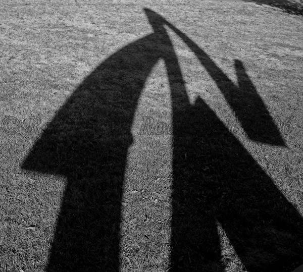 Scpt Shadow 1.jpg