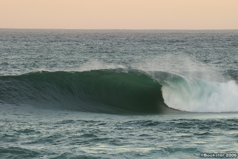 shark island