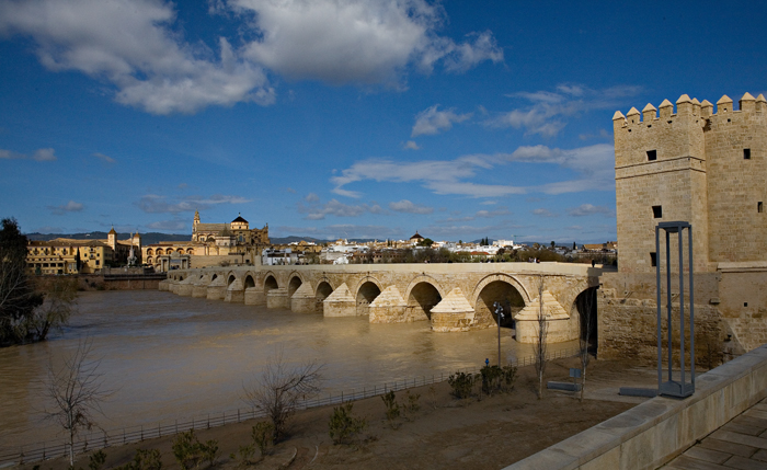 Roman Bridge at Toledo