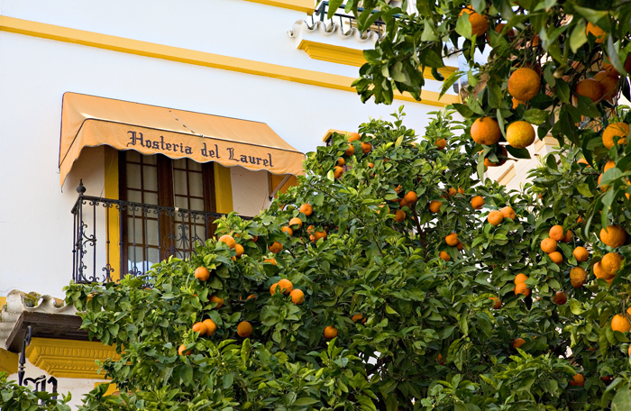 Naranjas y Hosteria