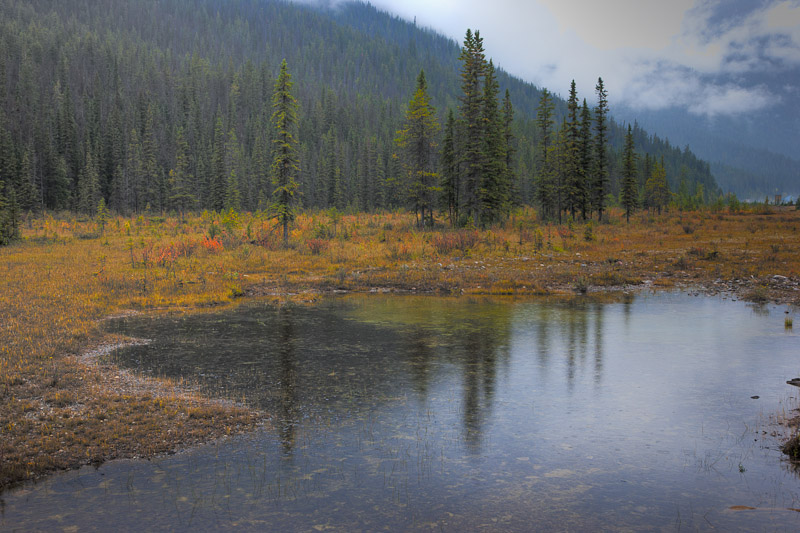 20100912_Lk OHara_0063_4_5.jpg