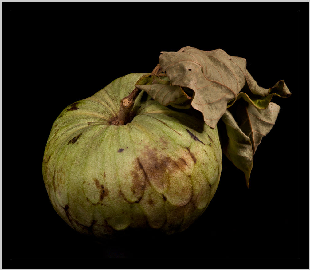 Cherimoya