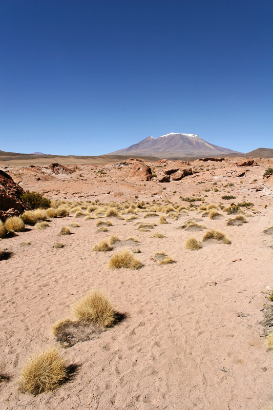 Southern Lipez, Bolivia