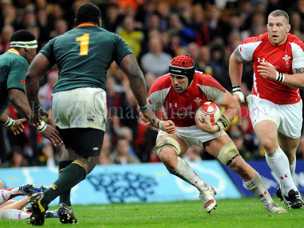 Wales v South Africa9.jpg