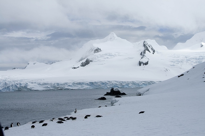 ANTARCTICARAW_0133.jpg