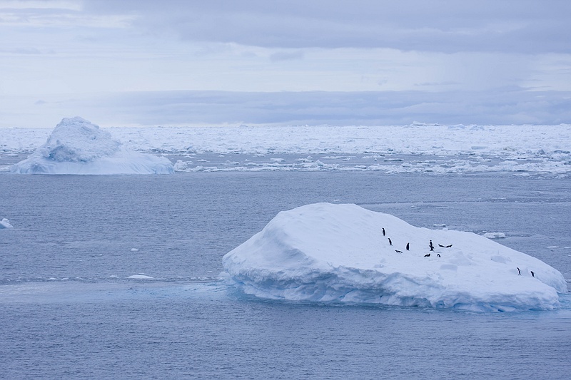 ANTARCTICARAW_0163.jpg