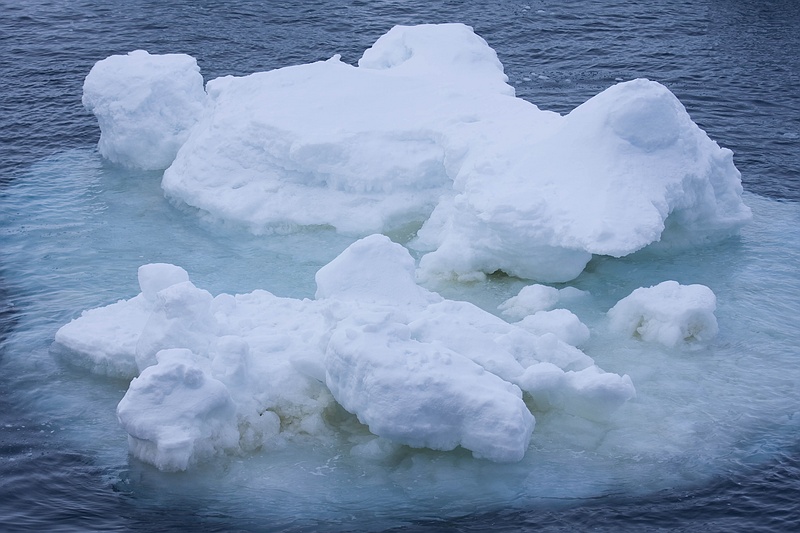 ANTARCTICARAW_0233.jpg
