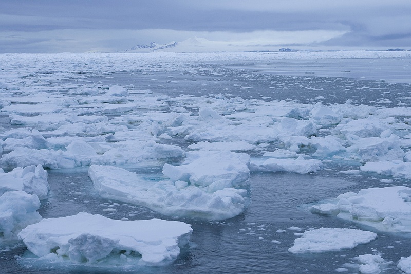 ANTARCTICARAW_0236.jpg