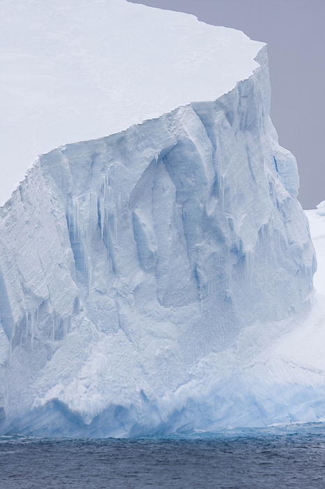 ANTARCTICARAW_0329.jpg