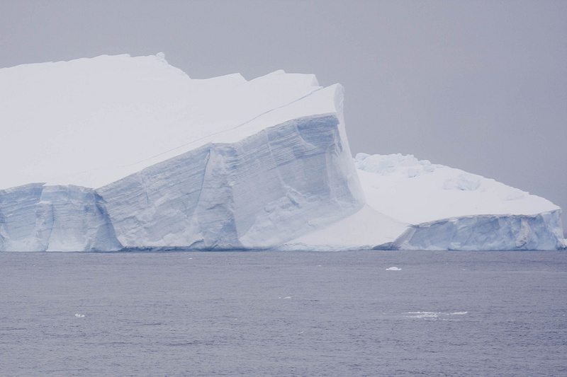 ANTARCTICARAW_0339.jpg