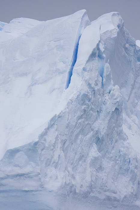 ANTARCTICARAW_0369.jpg