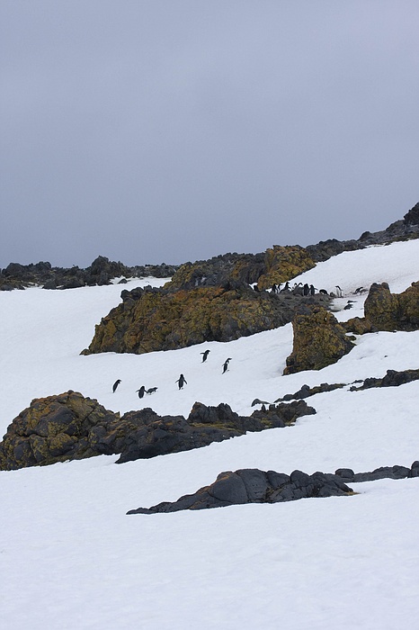 ANTARCTICARAW_0448.jpg