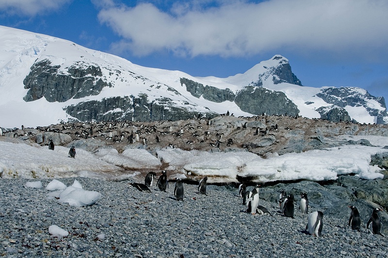 antarcticaraw_0743.jpg