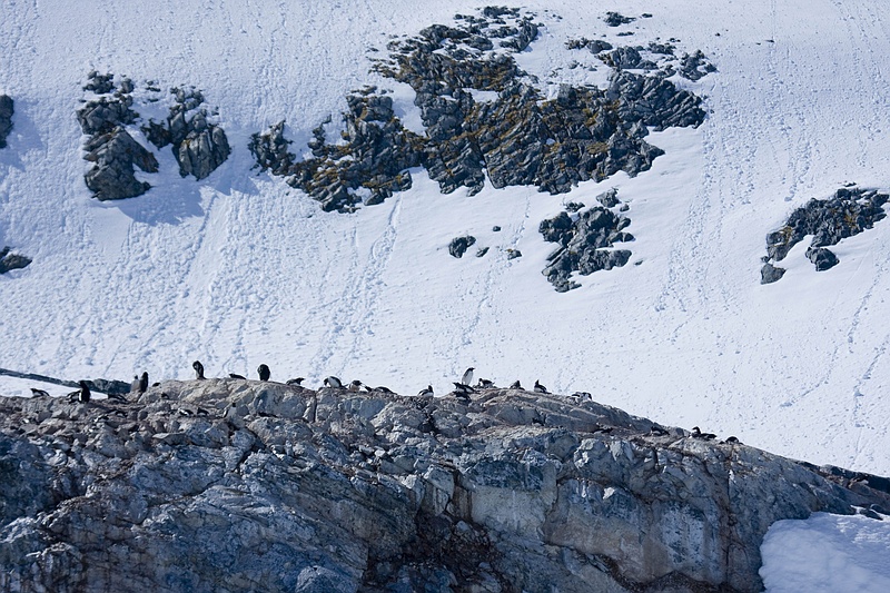 antarcticaraw_0814.jpg