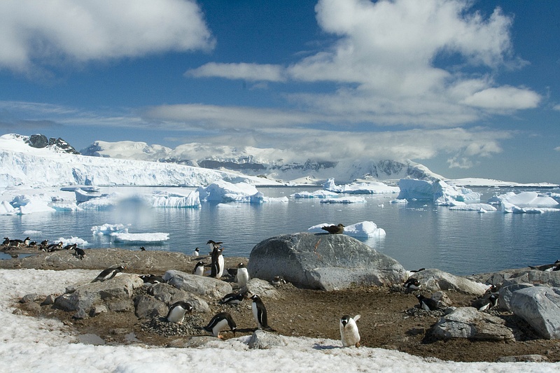 antarcticaraw_0863.jpg