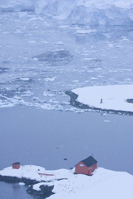 antarcticaraw_1108.jpg