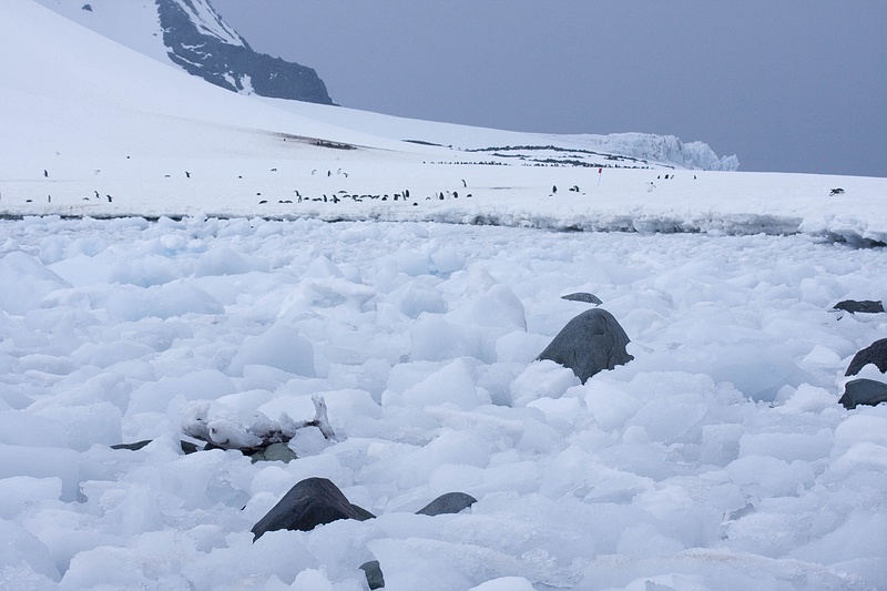 antarcticaraw_1519.jpg