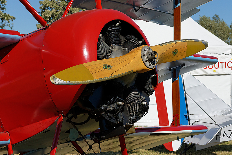 La Ferte Alais 2009_016.jpg