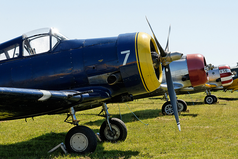 La Ferte Alais 2009_048.jpg