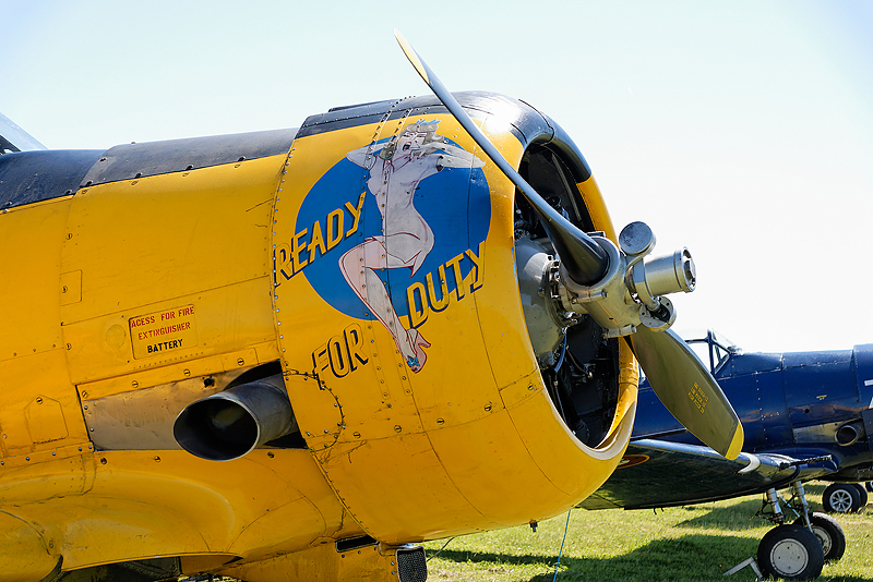La Ferte Alais 2009_053.jpg