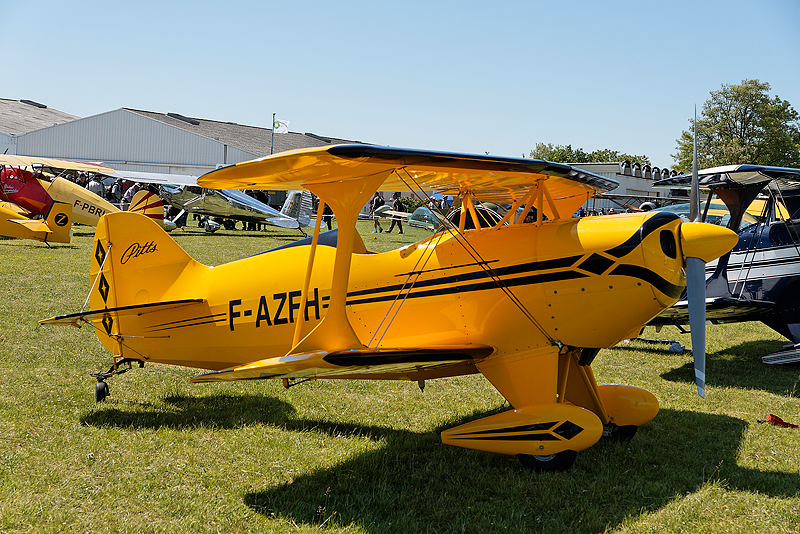 La Ferte Alais 2009_061.jpg