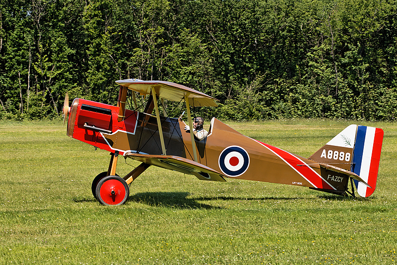 La Ferte Alais 2009_082.jpg