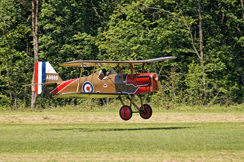 La Ferte Alais 2009_083.jpg
