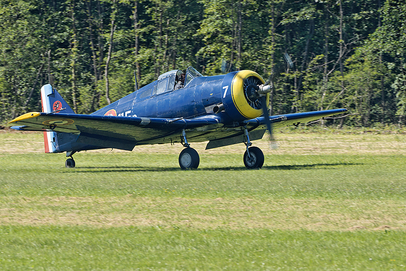 La Ferte Alais 2009_144.jpg