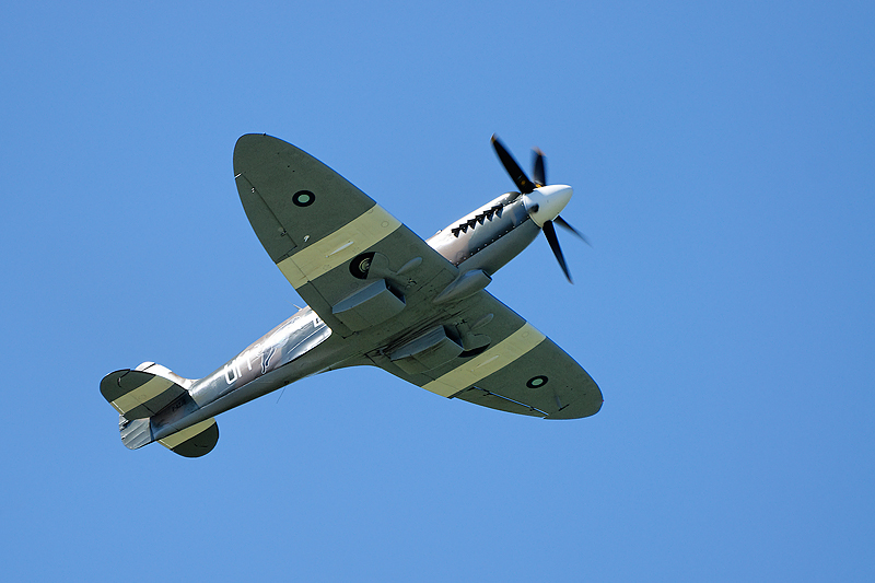 La Ferte Alais 2009_161.jpg