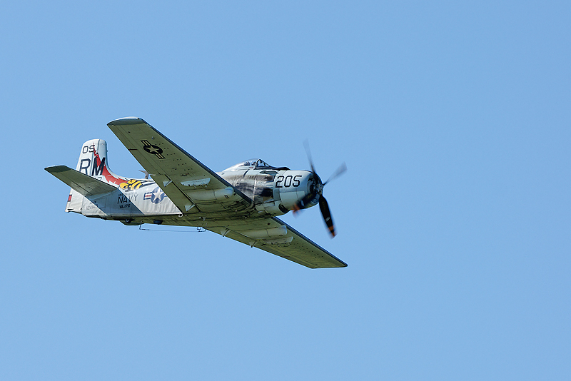 La Ferte Alais 2009_199.jpg