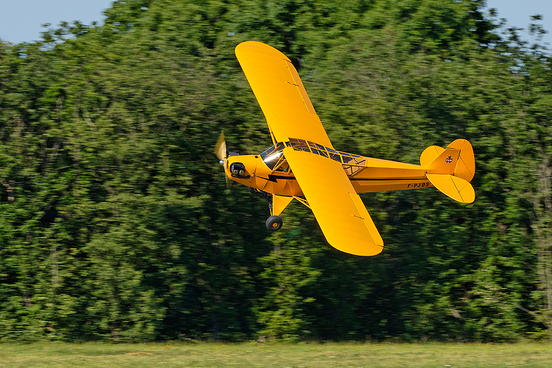 La Ferte Alais 2009_201.jpg