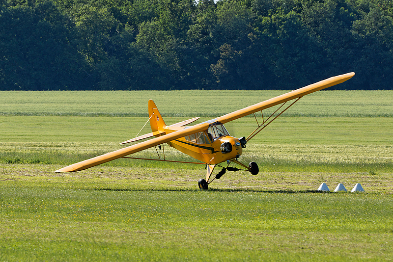 La Ferte Alais 2009_202.jpg