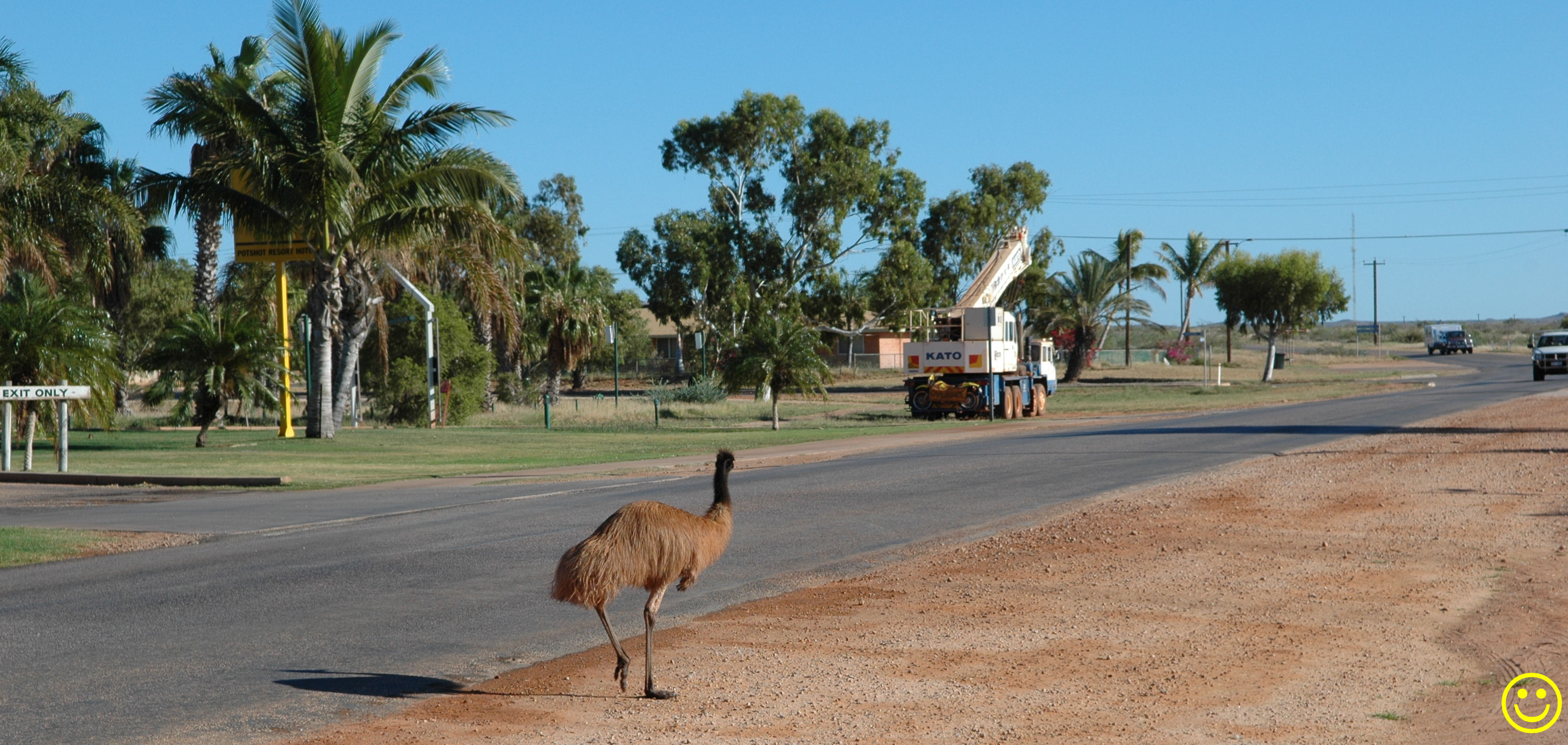 Why did the emu cross the road?