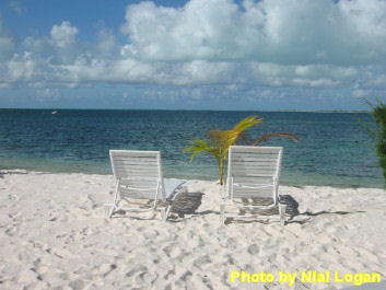 Ikari House beach