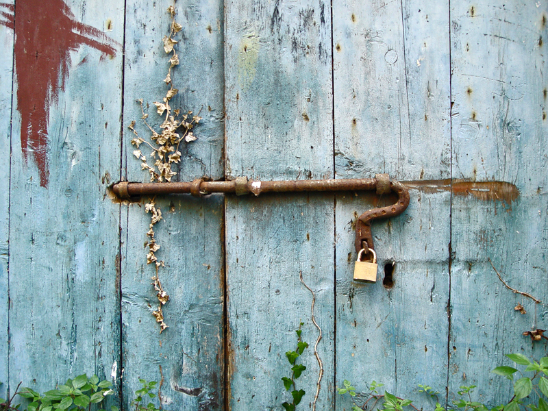 Plants on the door