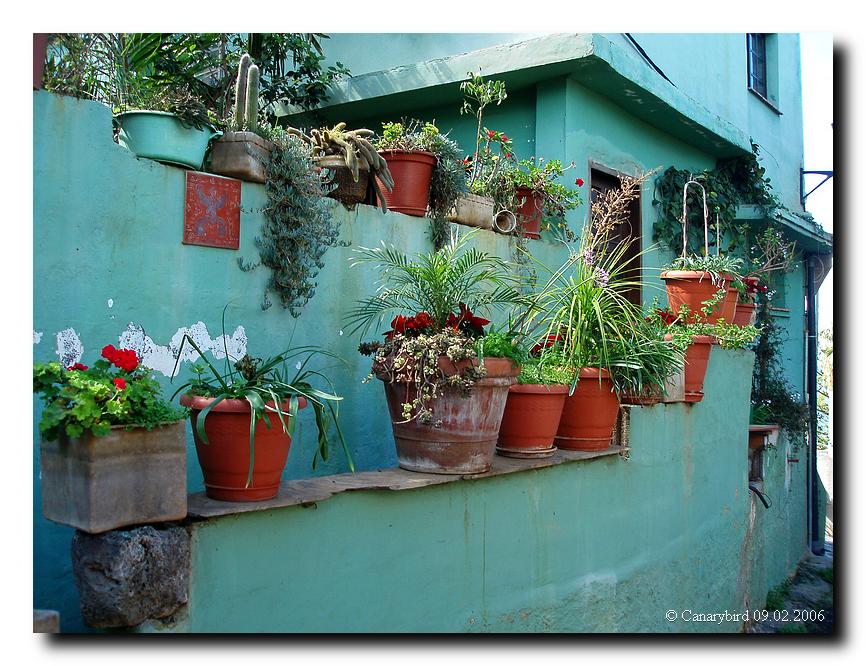 Flowerpot Wall.JPG