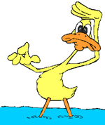 duck1.gif