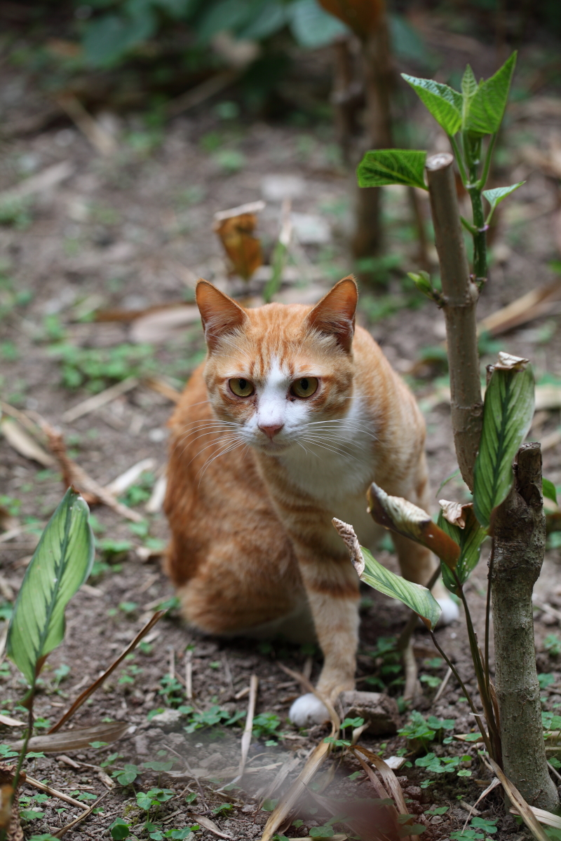LLI_FEB2013_006.JPG