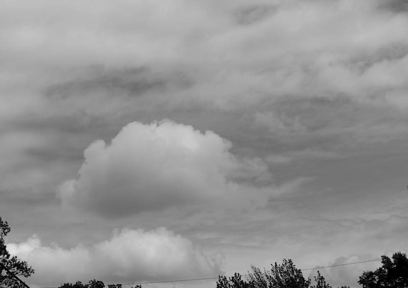 of butterflies and clouds 010.jpg